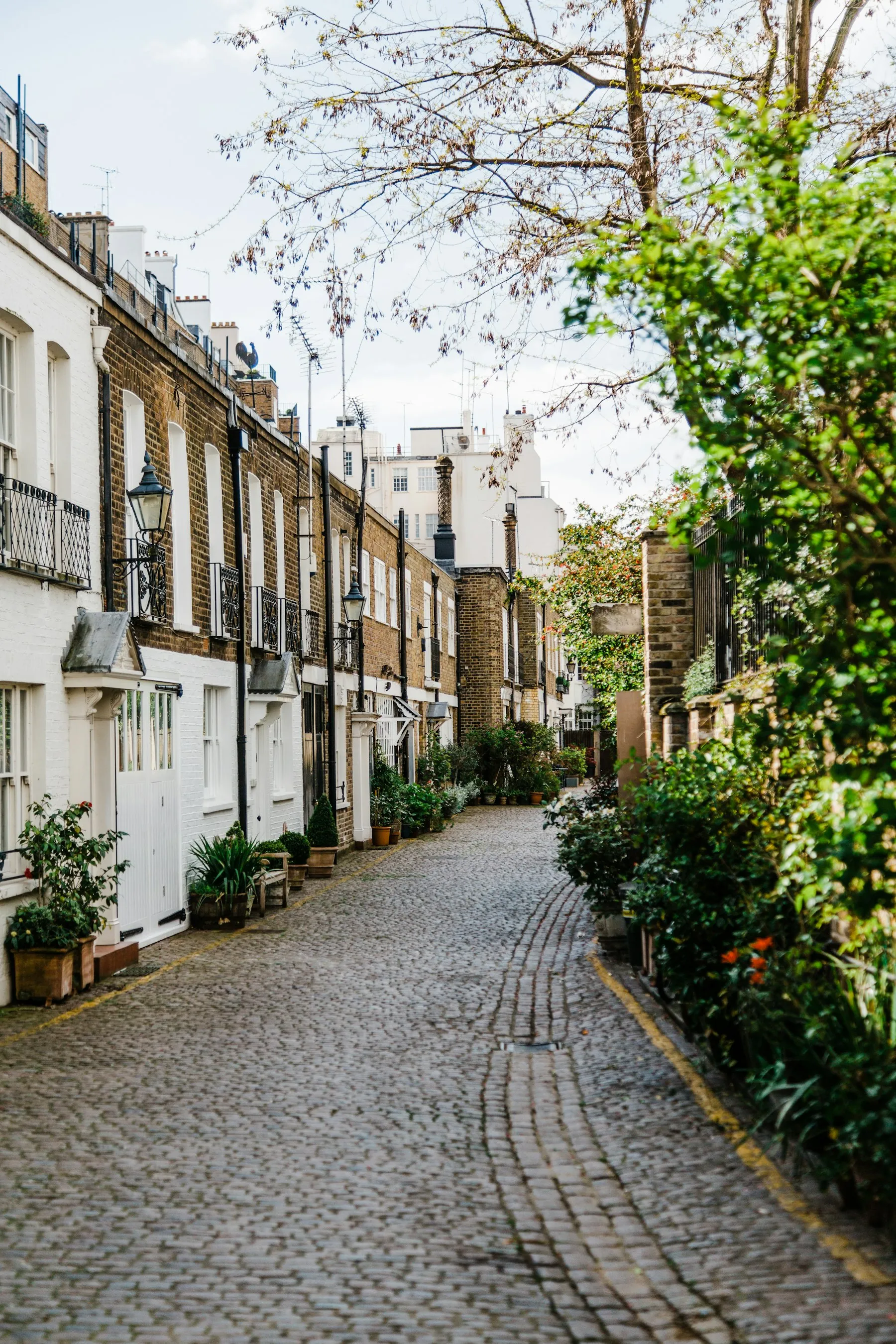 Cobbled London mews street with white and brick period houses