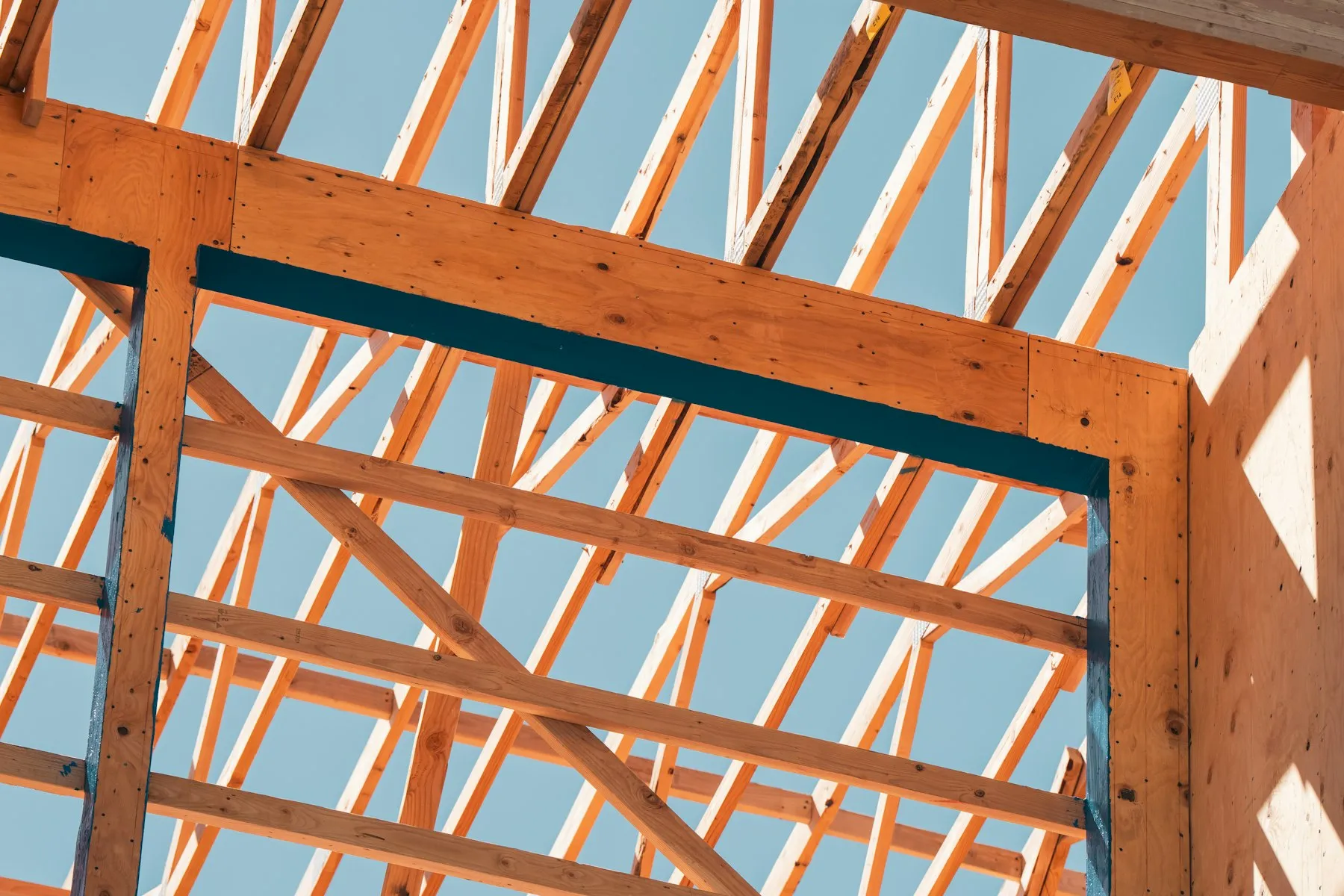 Timber frame of a new house rising against a clear sky
